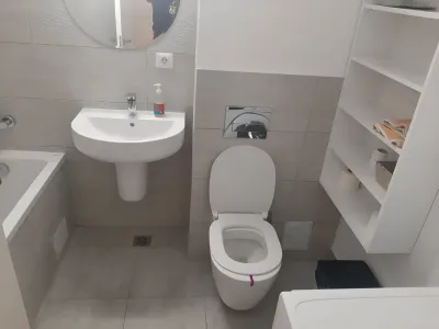 Baie moderna dotata cu cada apartament inchiriere Sector 1 București
